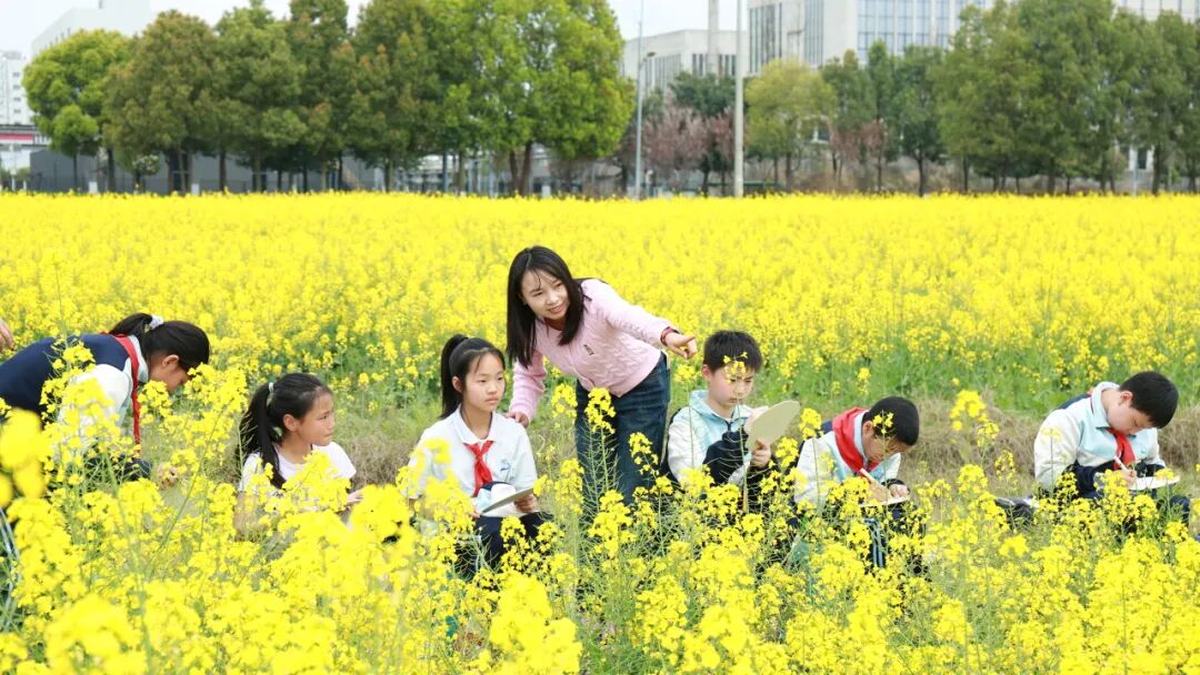 ../uploadfile/1774937400.jfif